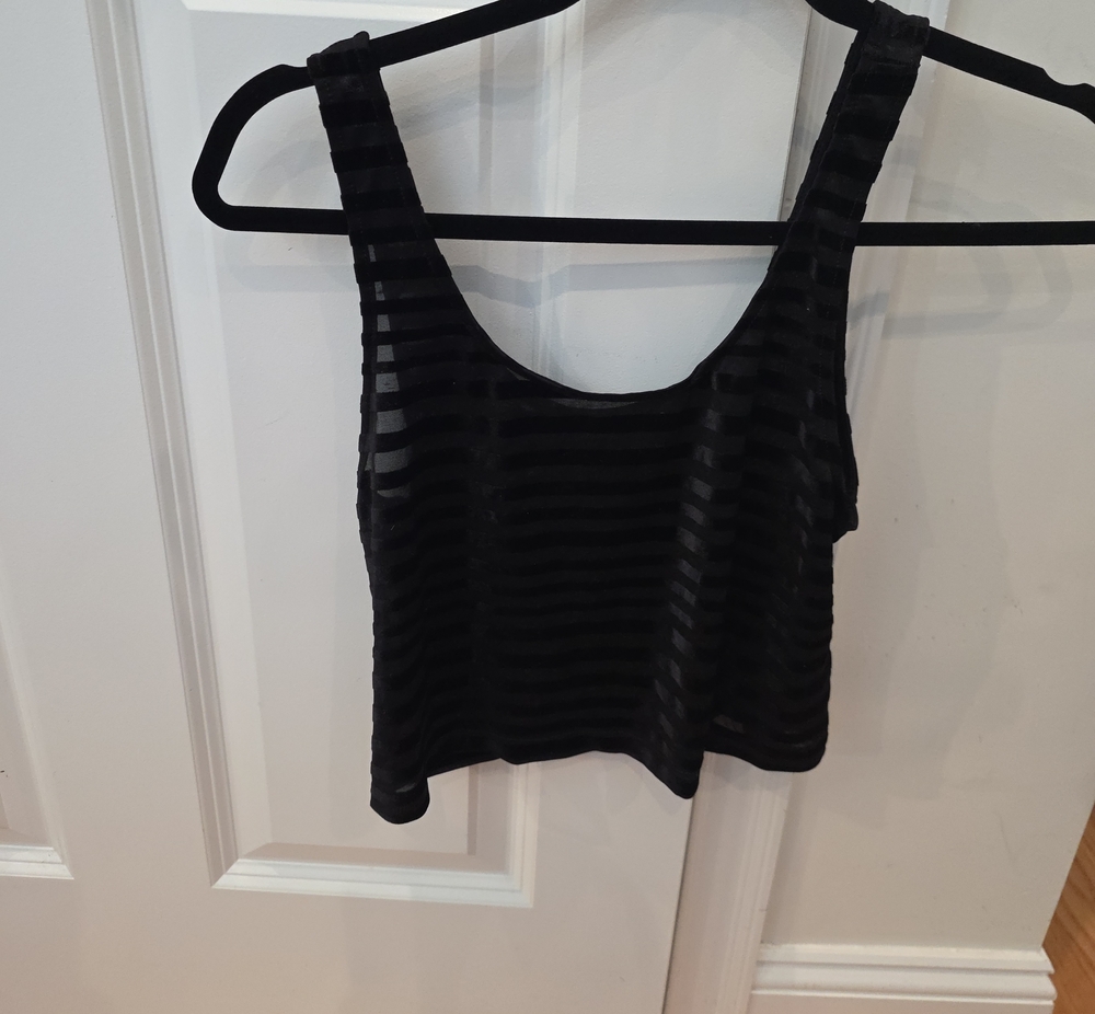 Express Black Sheer Striped Crop